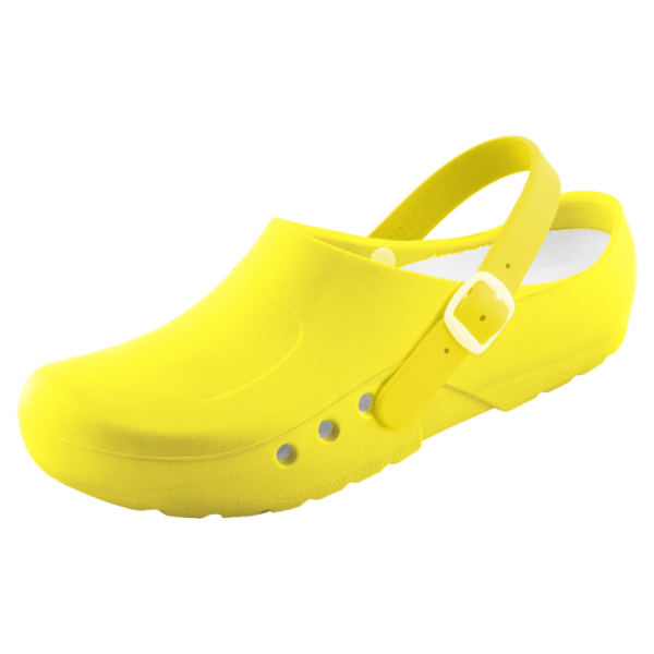 Orlin Clogs